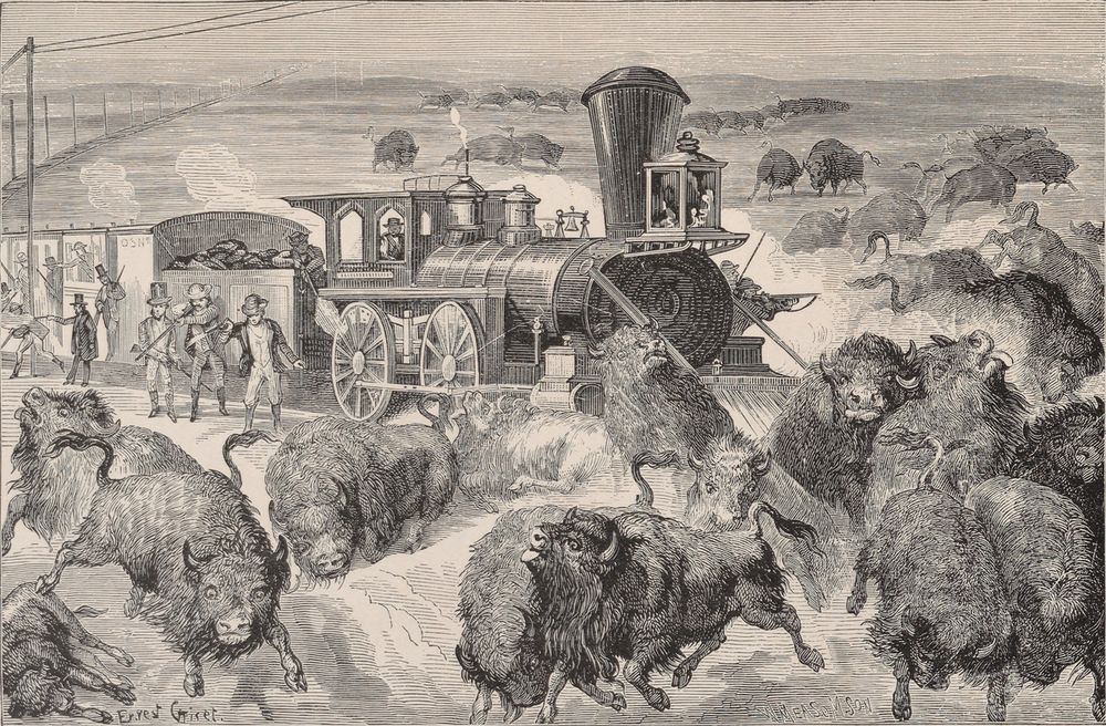An engraving of a steam locomotive halted in a stampeding herd of buffalo. Men in top hats and frock coats fire rifles from the cars and from beside the track; wounded buffalo lie in the foreground.
