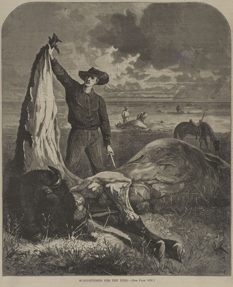 A hunter holds up a freshly stripped buffalo hide over the skinned carcass at his feet. Behind him other men skin more carcasses across the plain, under a stormy sky.
