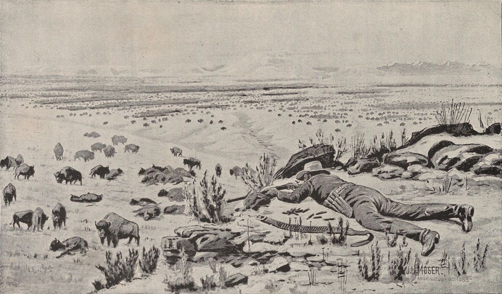 A hunter in a broad hat lies flat behind rocks, his rifle on a rest, shooting into a herd grazing on a wide snowy plain. Several buffalo already lie dead among the living.